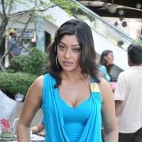 Payal Ghosh New Hot and Spicy Gallery | Picture 90657